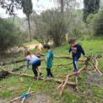 ילדים משחקים ביער
